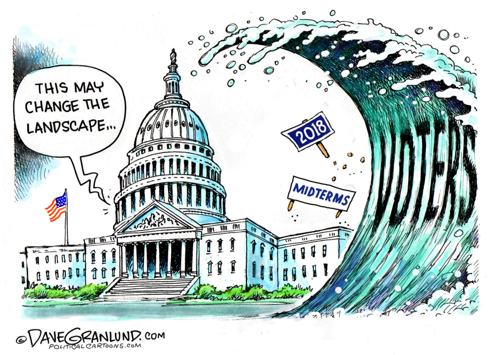  MIDTERMS 2018 by Dave Granlund