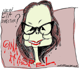 GINA HASPEL by Randall Enos