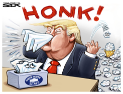 TRUMP TRASHED by Steve Sack