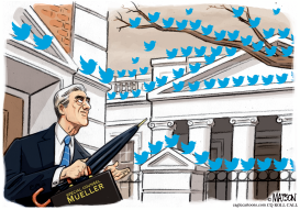 ROBERT MUELLER IN THE BIRDS by RJ Matson