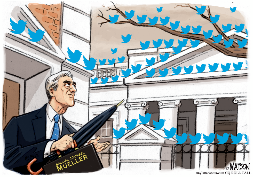  ROBERT MUELLER IN THE BIRDS by RJ Matson