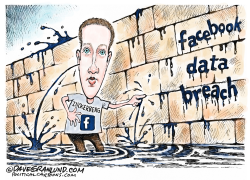 FACEBOOK DATA BREACH by Dave Granlund