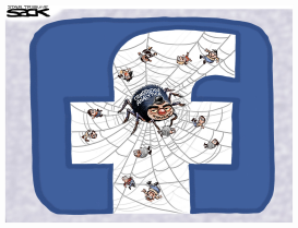 FACEBOOK FAIL by Steve Sack