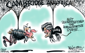 CAMBRIDGE ANALYTICA by Milt Priggee