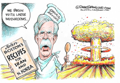 JOHN BOLTON SECURITY ADVISOR by Dave Granlund