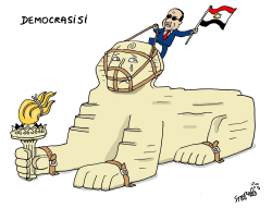 DEMOCRASISI by Stephane Peray