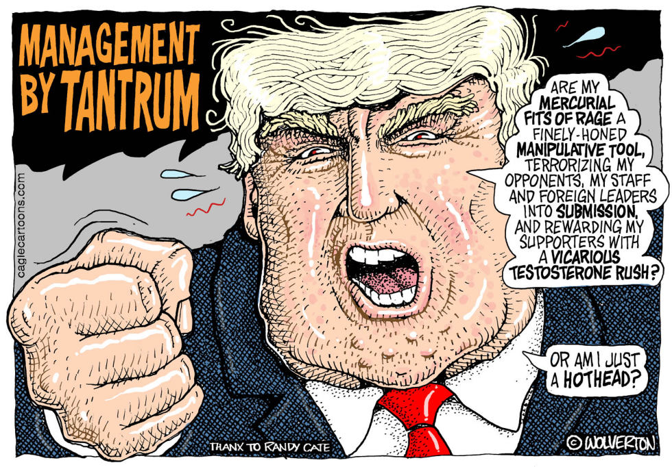  TRUMP TANTRUMS by Wolverton