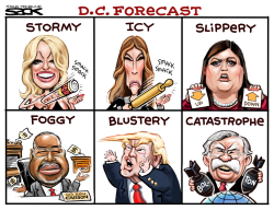 STORMY FORECAST by Steve Sack