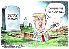 TRUMP NEEDS LAWYER by Dave Granlund