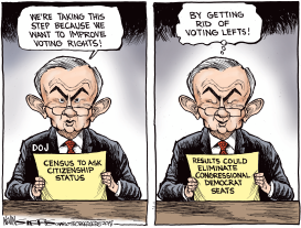 CITIZENSHIP IN THE CENSUS by Kevin Siers