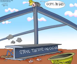 TRUMP'S STEEL TARIFFS by Gary McCoy