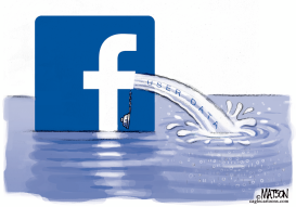 FACEBOOK USER DATA HYDRANT by RJ Matson