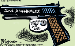 PROTECTING GUN RIGHTS by Milt Priggee