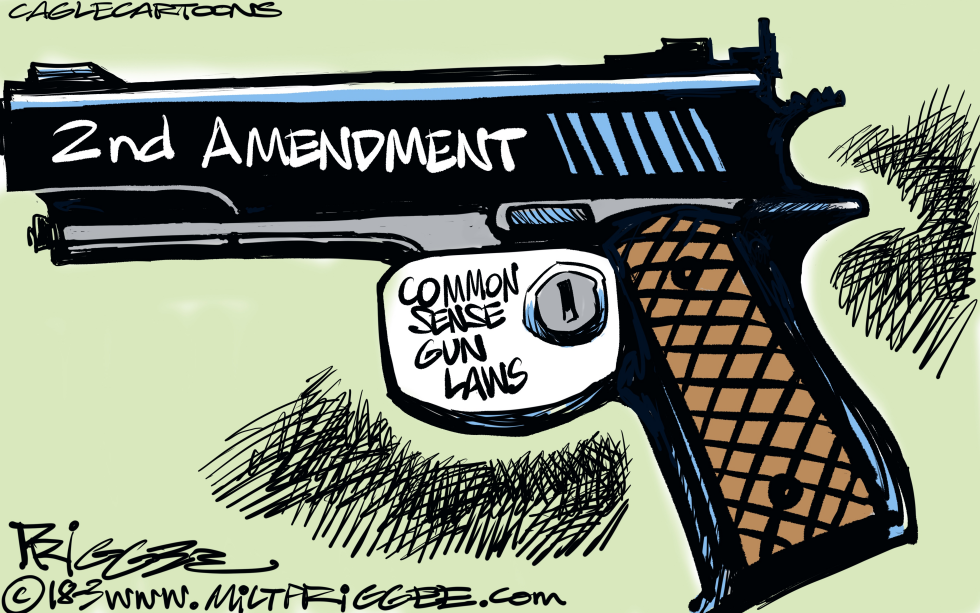  PROTECTING GUN RIGHTS by Milt Priggee