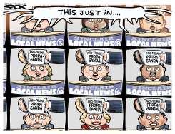 SINCLAIR CLONES by Steve Sack