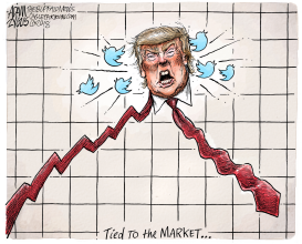 VOLATILITY by Adam Zyglis