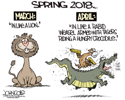 SPRING 2018 by John Cole