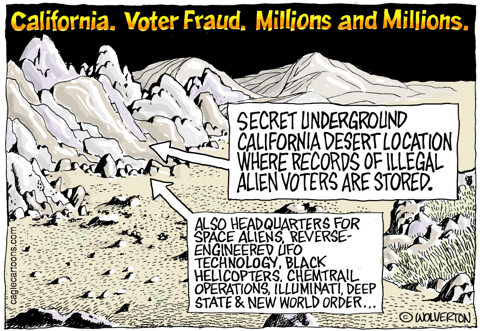  CALIFORNIA VOTER FRAUD by Wolverton