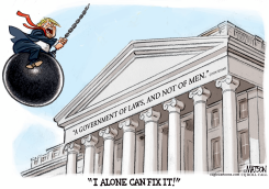 TRUMP FIXER UPPER by RJ Matson