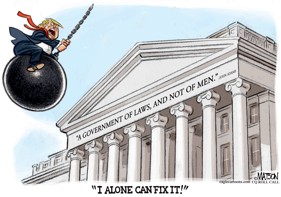  TRUMP FIXER UPPER by RJ Matson