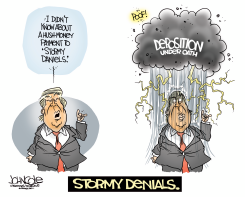 STORMY DENIALS by John Cole