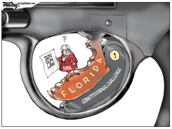 FLORIDA GUN LAW by Bill Day