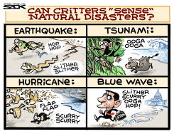 RYAN DISASTER by Steve Sack