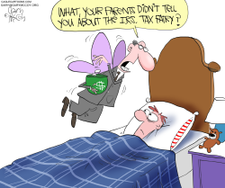 IRS TAX FAIRY by Gary McCoy