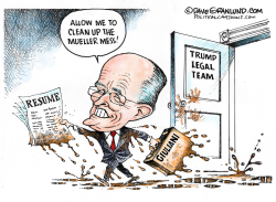 GIULIANI TRUMP LAWYER by Dave Granlund