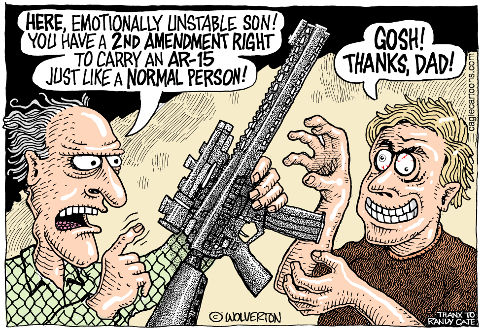  WACKOS AND GUN RIGHTS by Wolverton