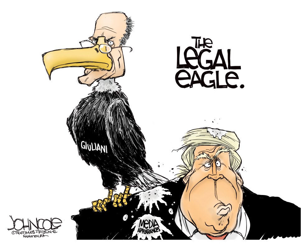  THE LEGAL EAGLE by John Cole