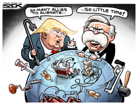 ALLIES ALIENATION by Steve Sack