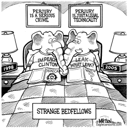 REPUBLICANS ARE STRANGE BEDFELLOWS by RJ Matson