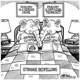 REPUBLICANS ARE STRANGE BEDFELLOWS by RJ Matson