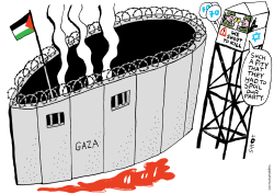 GAZA PROTESTS by Schot