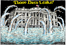 THOSE DARN WHITE HOUSE LEAKS by Wolverton