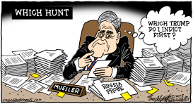 WITCH HUNT by Bob Englehart