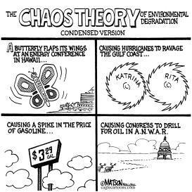 CHAOS THEORY OF ENVIRONMENTAL DEGRADATION by RJ Matson