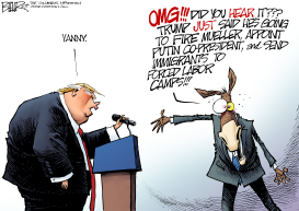 YANNY OR TRUMP by Nate Beeler