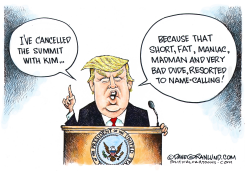 TRUMP KIM SUMMIT CANCELLED by Dave Granlund