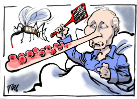 PUTIN LIES AND FLIGHT MH17 by Tom Janssen