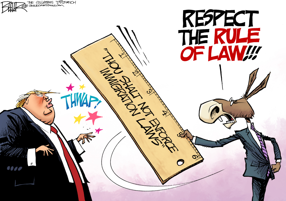  IMMIGRATION RULE OF LAW by Nate Beeler