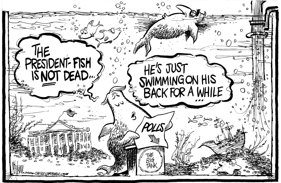  FISH STORY by Mike Lane