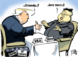 TRUMP KIM SUMMIT by Tom Janssen