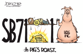 LOCAL NC HOG FARMLAWSUITS by John Cole