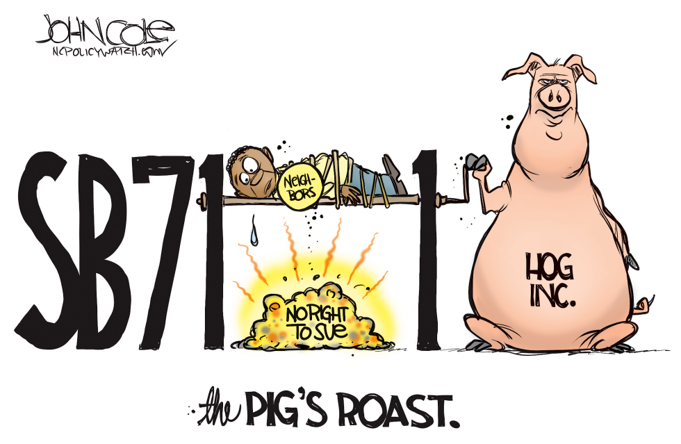  LOCAL NC HOG FARMLAWSUITS by John Cole