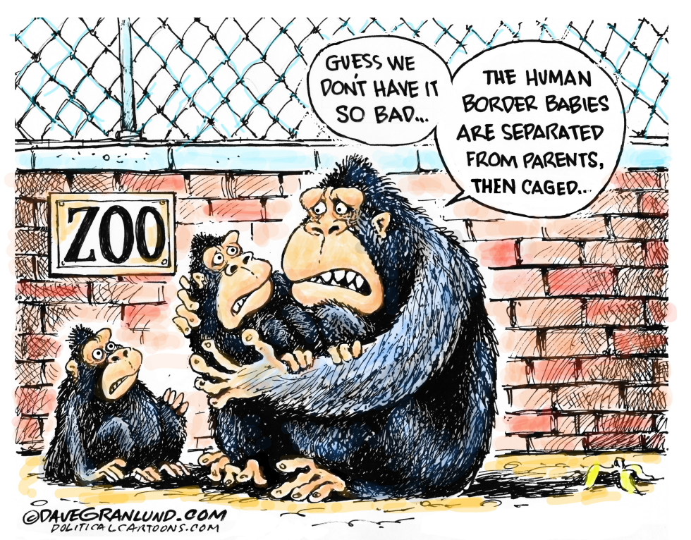  BORDER FAMILIES SEPARATED by Dave Granlund