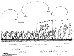 NO HAY EVOLUCION EN KANSAS by RJ Matson