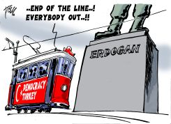 TURKEY END OF THE LINE by Tom Janssen