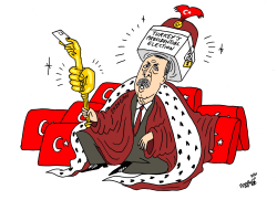 ERDOGAN RE-ELECTED by Stephane Peray